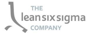 The Lean Six Sigma Company logo